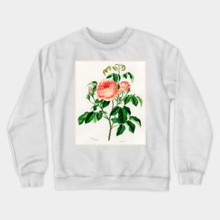 Cabbage Rose Crewneck Sweatshirt